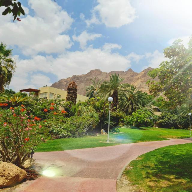 Ein Gedi Caravan By Dory Caravan Zewnętrze zdjęcie